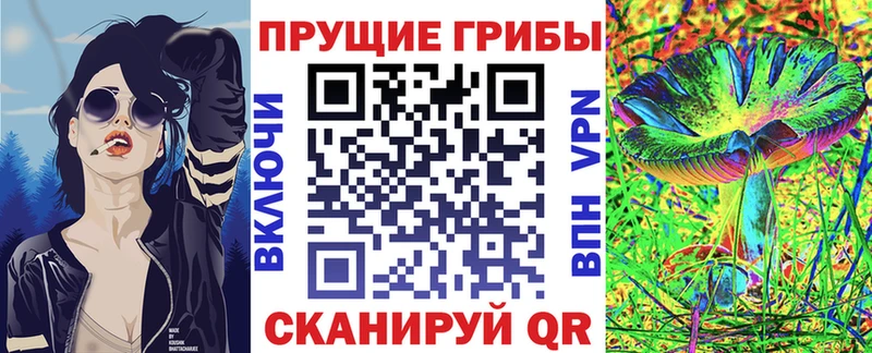 сайты даркнета официальный сайт  Злынка  Галлюциногенные грибы мухоморы 